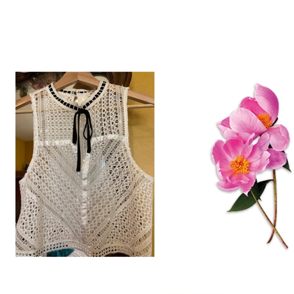 Mesh White  Blouse